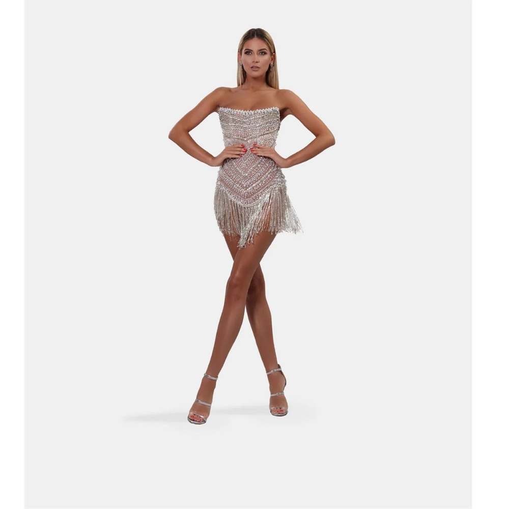 RARE Albina Dyla Silver Corset beaded Dress - Picture 2 of 6
